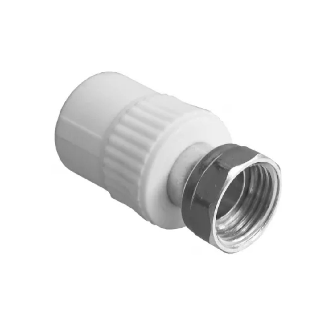 semiolandez semiolandez